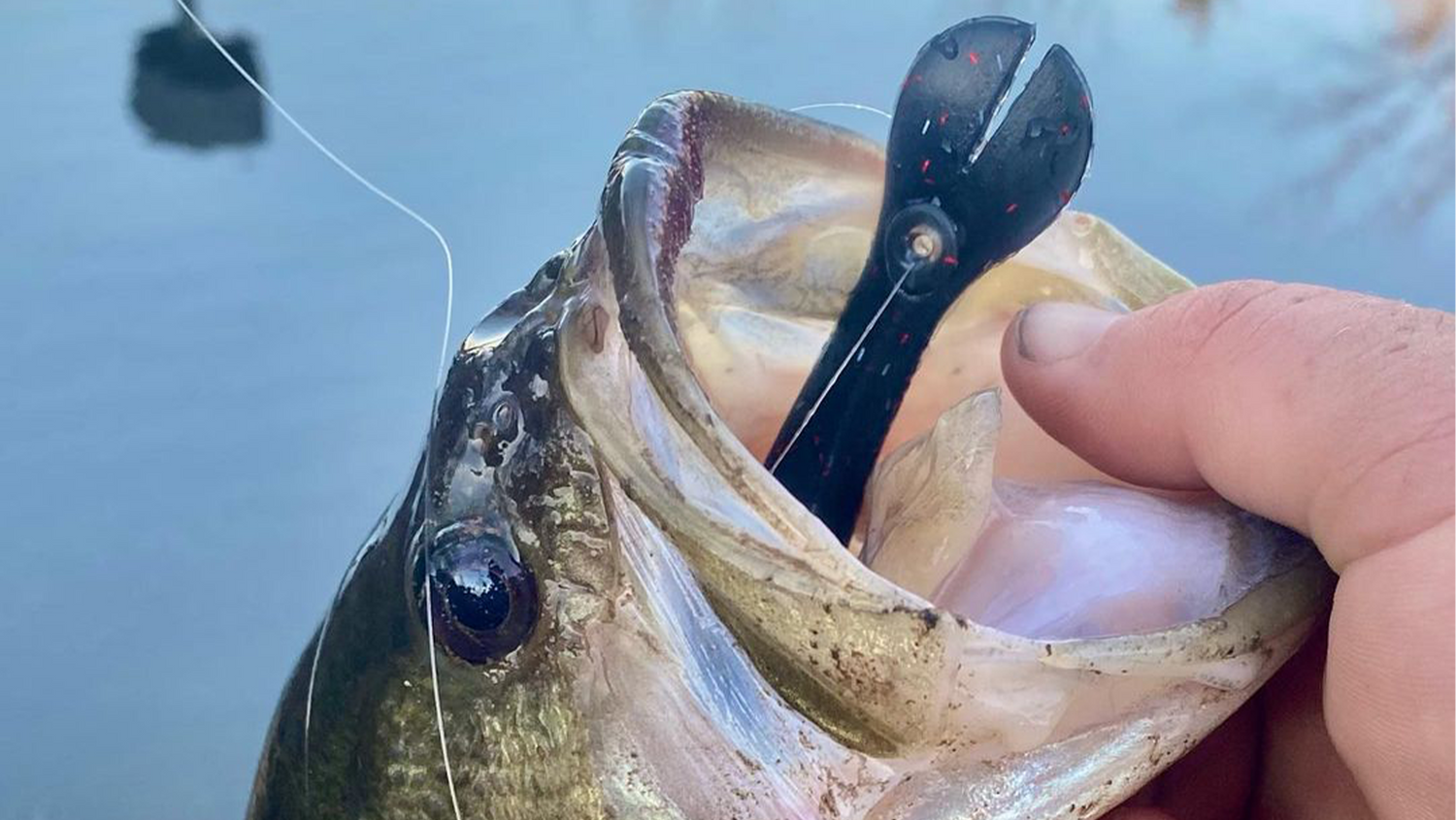 Bass Fishing Bundles – Lawless Lures